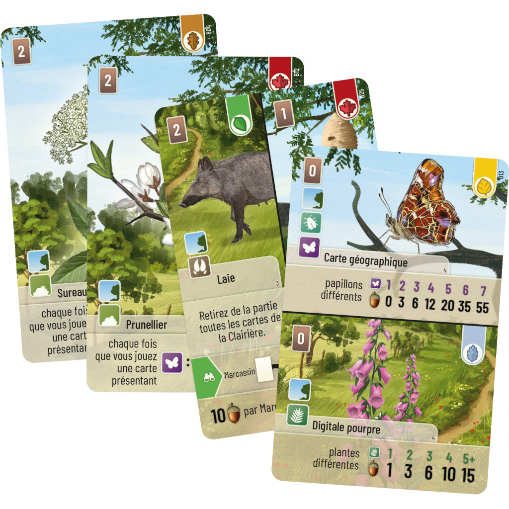 Forêt Mixte : Lisière de forêt (Ext)