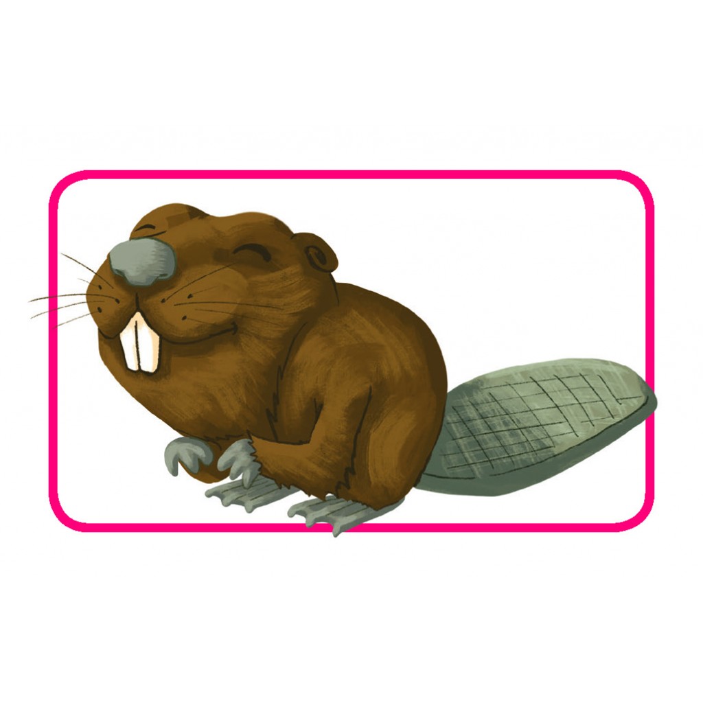Concept Kids : Animaux