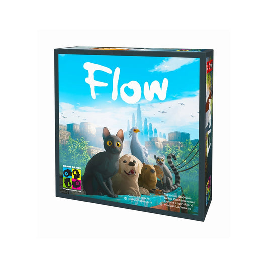 Flow