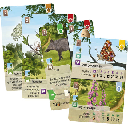Forêt Mixte : Lisière de forêt (Ext)