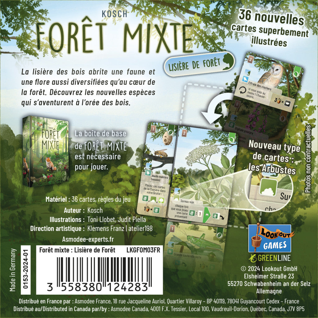 Forêt Mixte : Lisière de forêt (Ext)