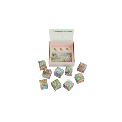 Les Cubes Puzzle de Nono
