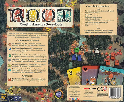 Root